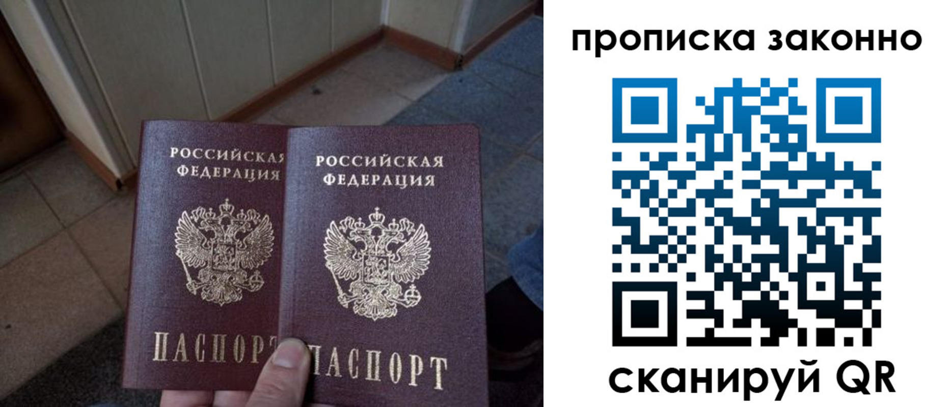 регистрация для школы в Александрове